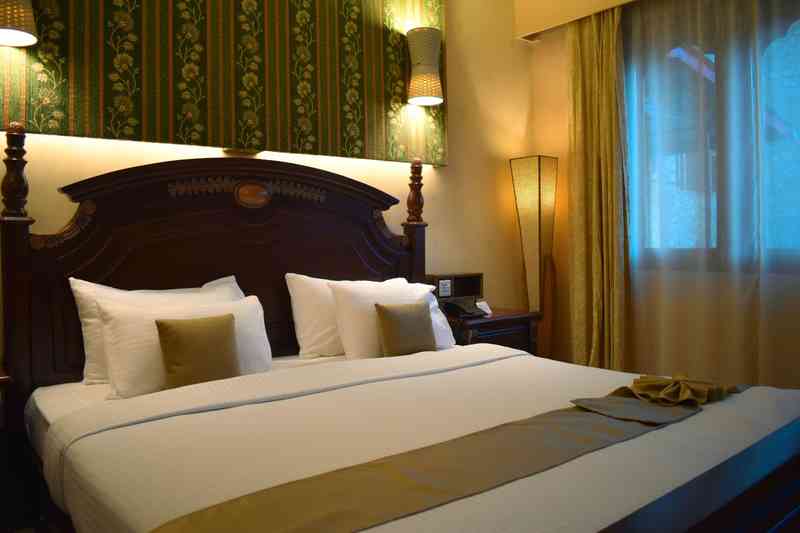 Cozy Bedding